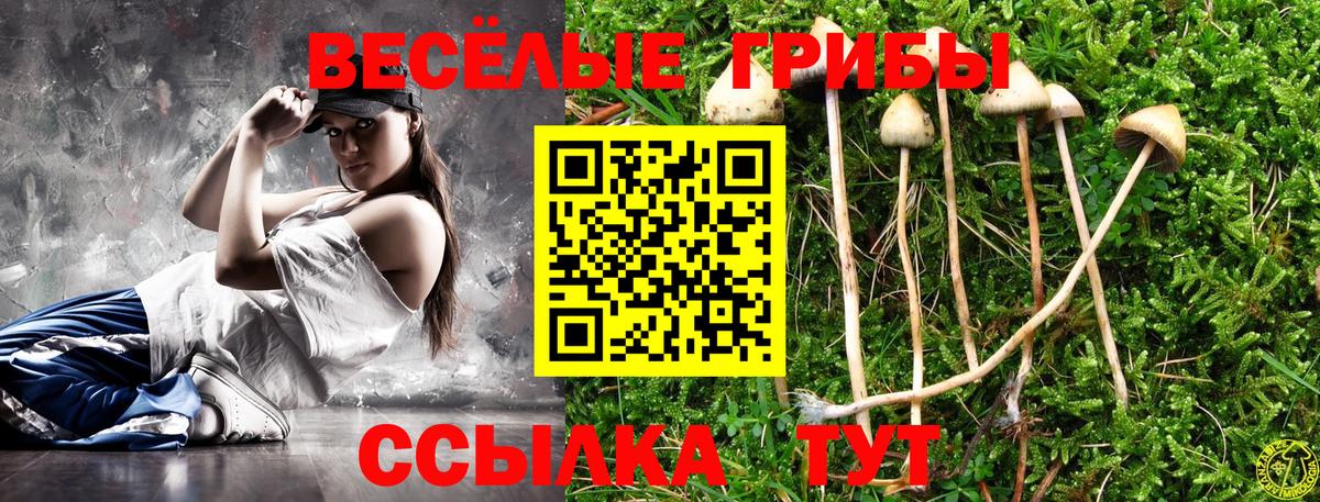 Галлюциногенные грибы Cubensis  Галлюциногенные грибы GOLDEN TEACHER  Вход с VPN  Таганрог 